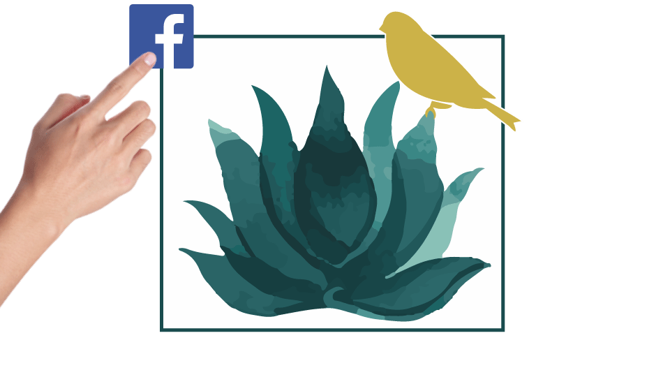 Logo-Anas&Aloe FB.png